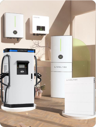 fredy-bravo-energia-renovable-portafolio-net